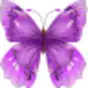 Butterfly Flower for DoodleTex