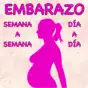 Embarazo
