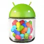 Jelly Bean