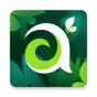 Азия Онлайн