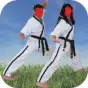 Karate Training