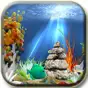 Tropical aquarium