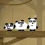 Panda Adventure