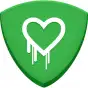 Heartbleed Security Scanner
