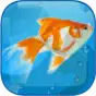 AquaLife 3D