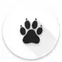 Amarok