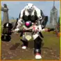 Angry Bear Fighter