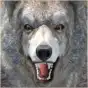 Wild Life: Wolf Clan