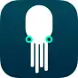 Squid