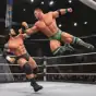 Tag Team Wrestling Games: Mega Cage Ring Fighting