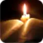 The Message Bible Free MSG