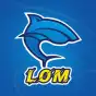LomVPN