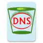 Flush DNS